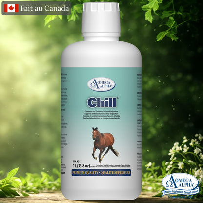 Chill – complément naturel calmant pour chevaux stressés ou anxieux