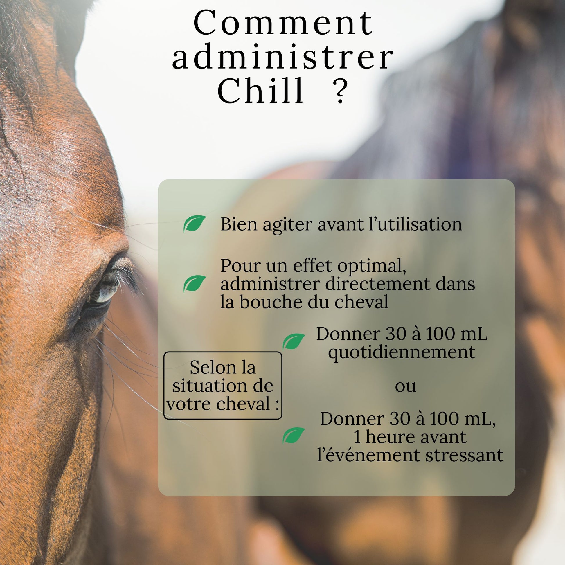 Mode d’emploi du Chill Omega Alpha – dosage et administration facile pour chevaux