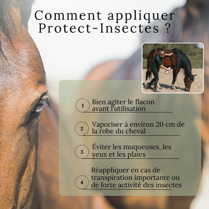 Comment utiliser le spray Protect’Insectes – application sur le corps du cheval