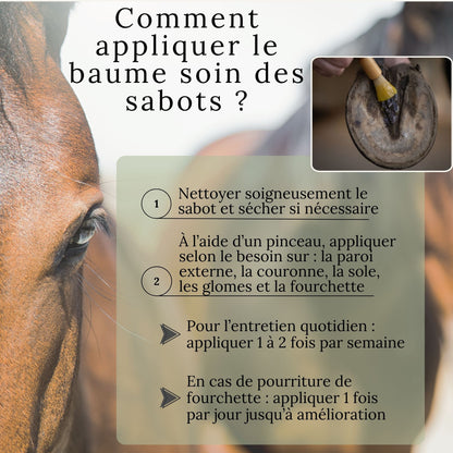 Comment appliquer un baume naturel sur les sabots du cheval