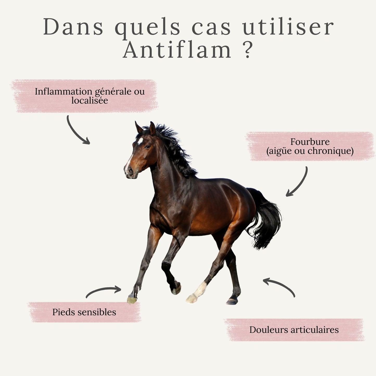 Dans quels cas utiliser Antiflam : fourbure, douleurs musculaires, pieds sensibles, inflammation chronique chez le cheval