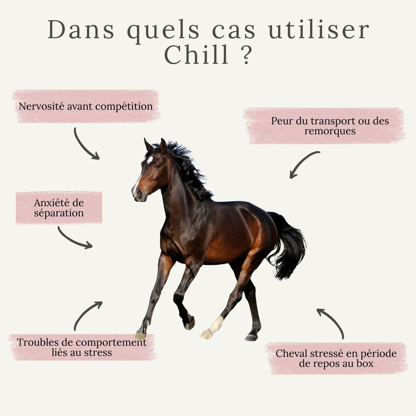 Utilisation du Chill pour chevaux nerveux, stressés, anxieux ou difficiles à gérer au quotidien ou en compétition
