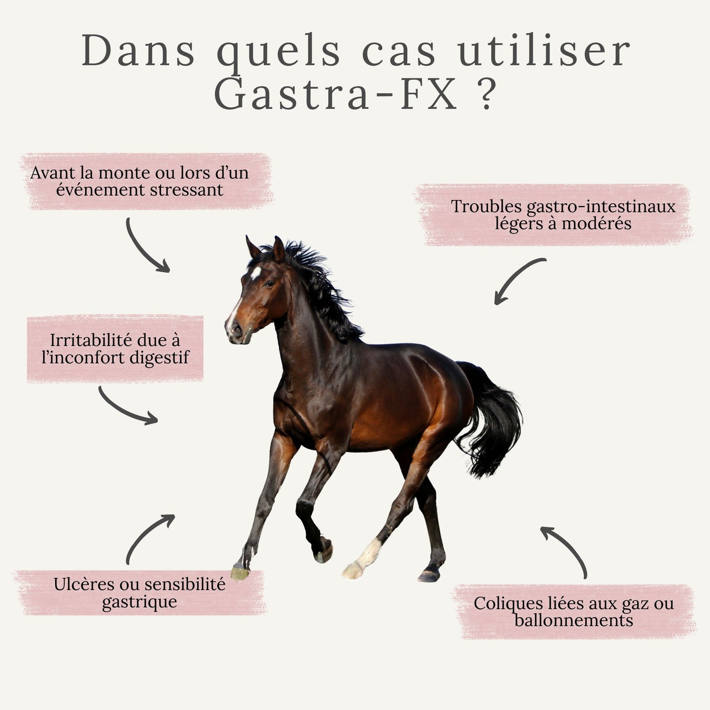 Utilisation du Gastra-FX pour chevaux avec ulcères, inconfort digestif, stress ou changements alimentaires