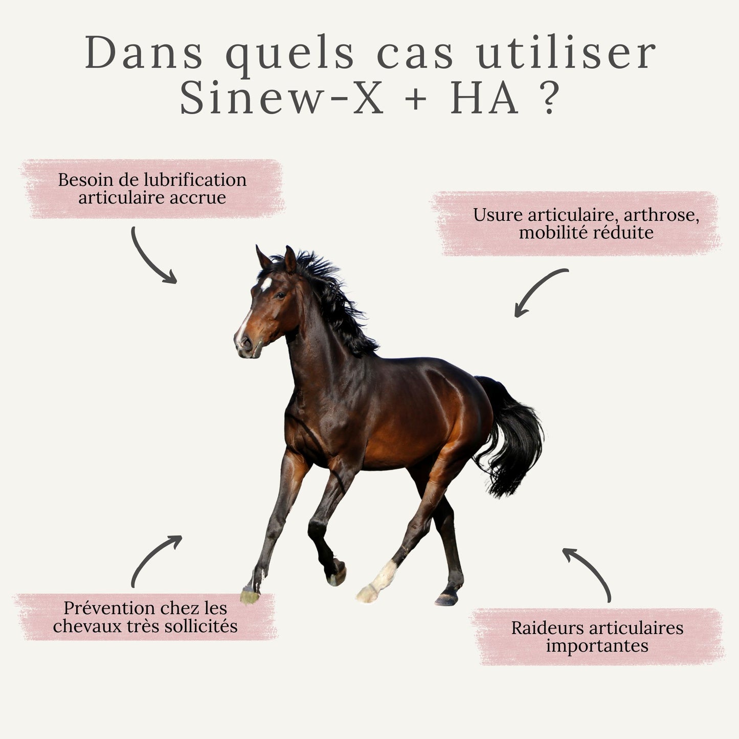 Cheval avec raideurs ou douleurs articulaires, arthrose, mobilité réduite