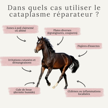 Cataplasme d’argile pour cheval – idéal pour blessures, plaies, piqûres, enflures, irritations, gale de boue