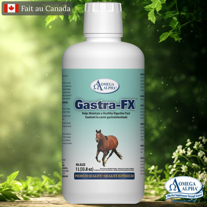 Bouteille de Gastra-FX de la marque Omega Alpha – supplément naturel pour la santé digestive des chevaux