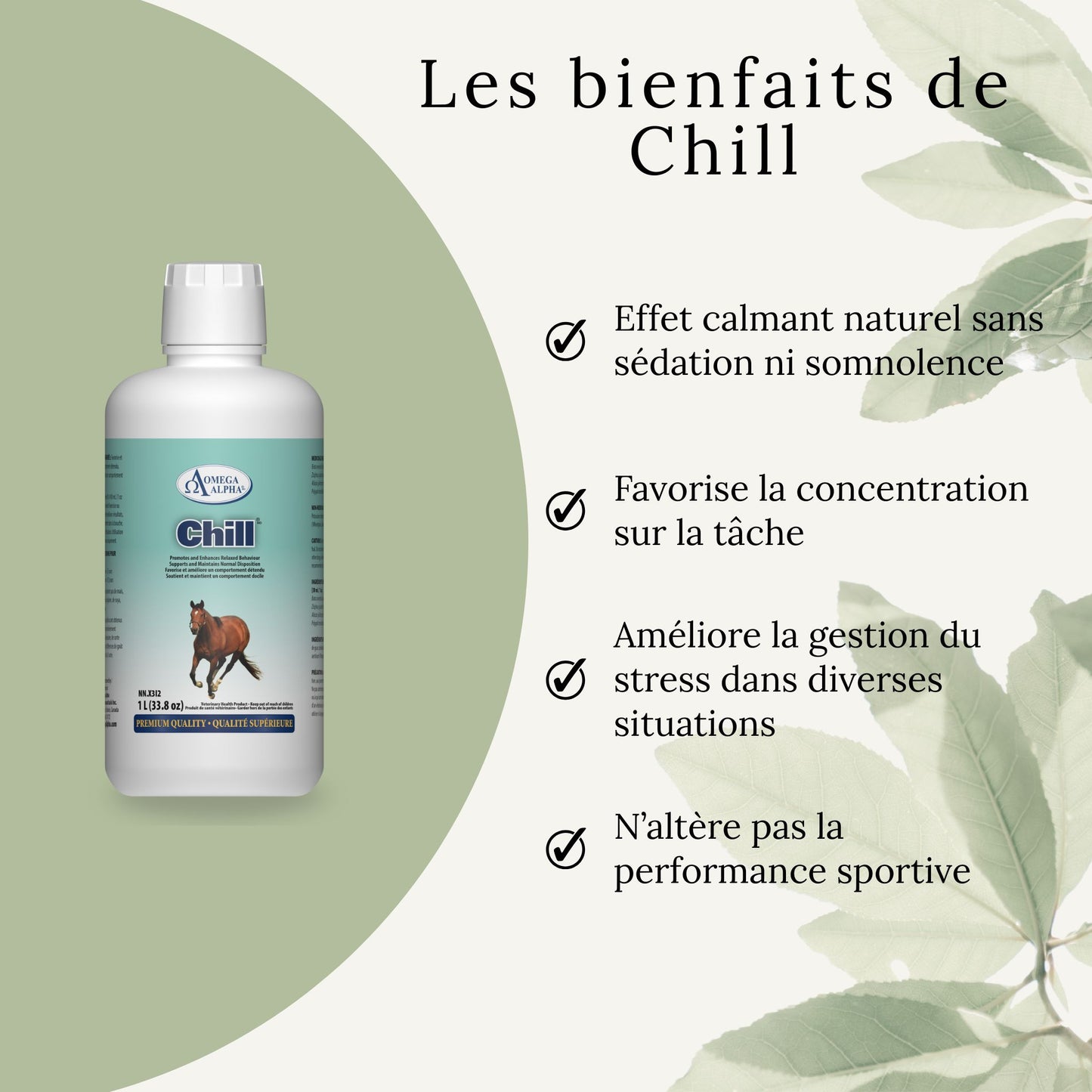 Bienfaits du supplément Chill pour chevaux : favorise la détente, réduit le stress et l’agitation