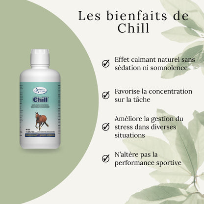 Bienfaits du supplément Chill pour chevaux : favorise la détente, réduit le stress et l’agitation