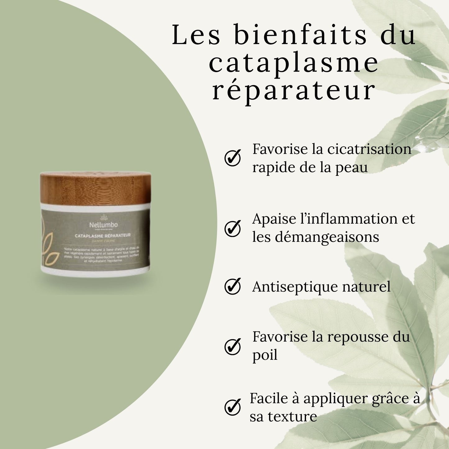 Effets du cataplasme Nellumbo – réduction de l’inflammation, cicatrisation et apaisement du cheval