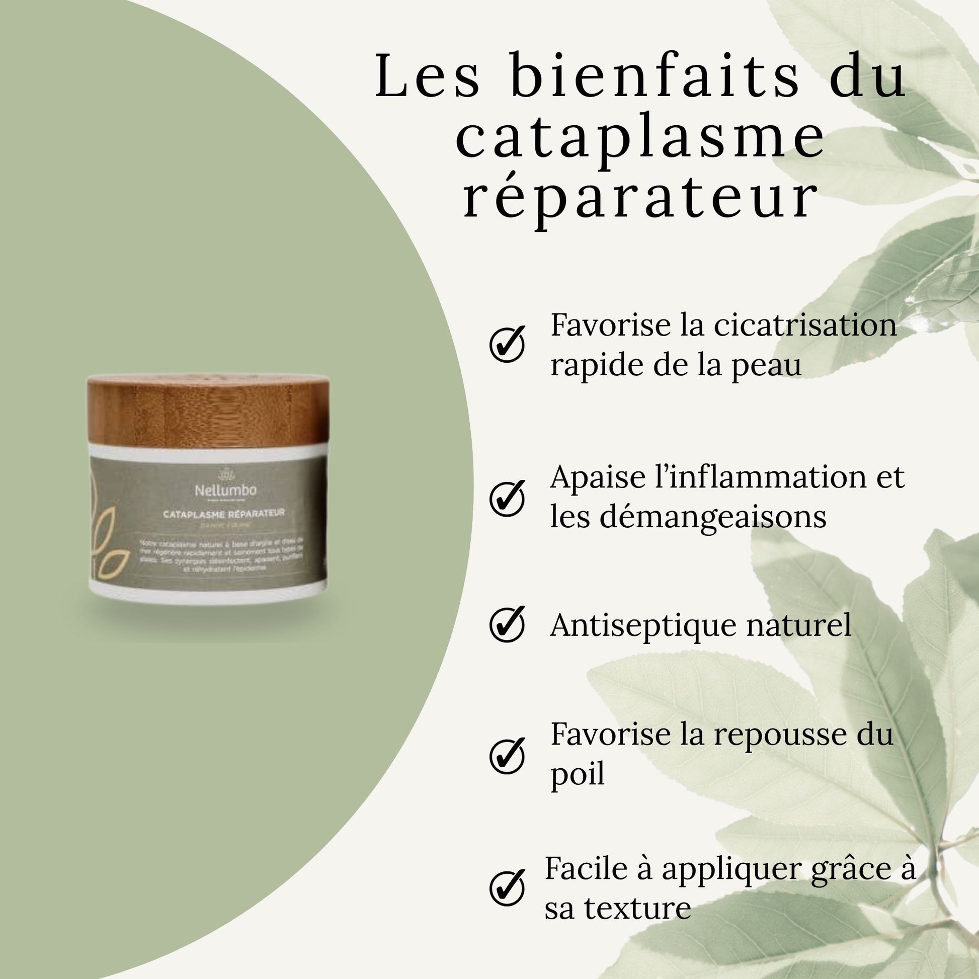 Effets du cataplasme Nellumbo – réduction de l’inflammation, cicatrisation et apaisement du cheval