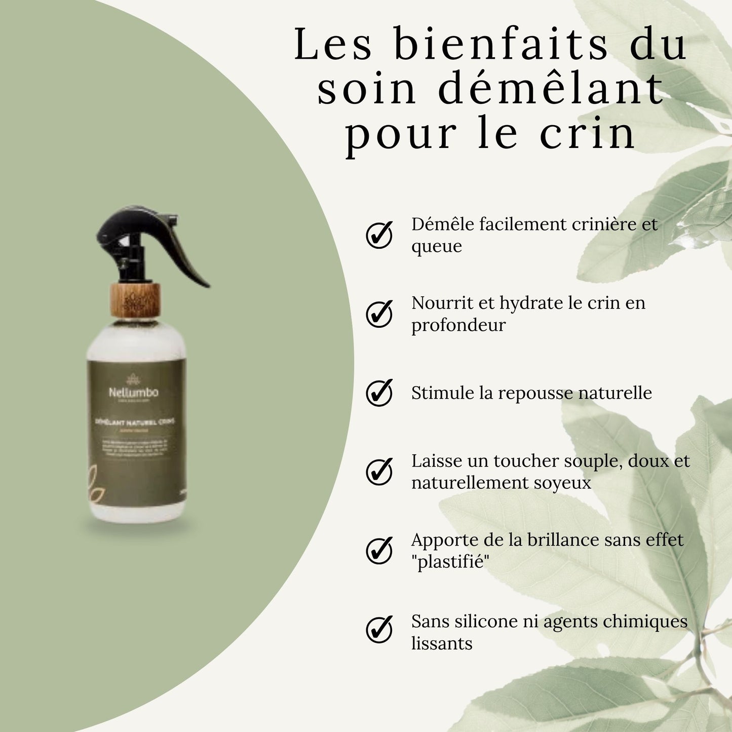 Crin de cheval brillant, souple et démêlé après application du soin naturel