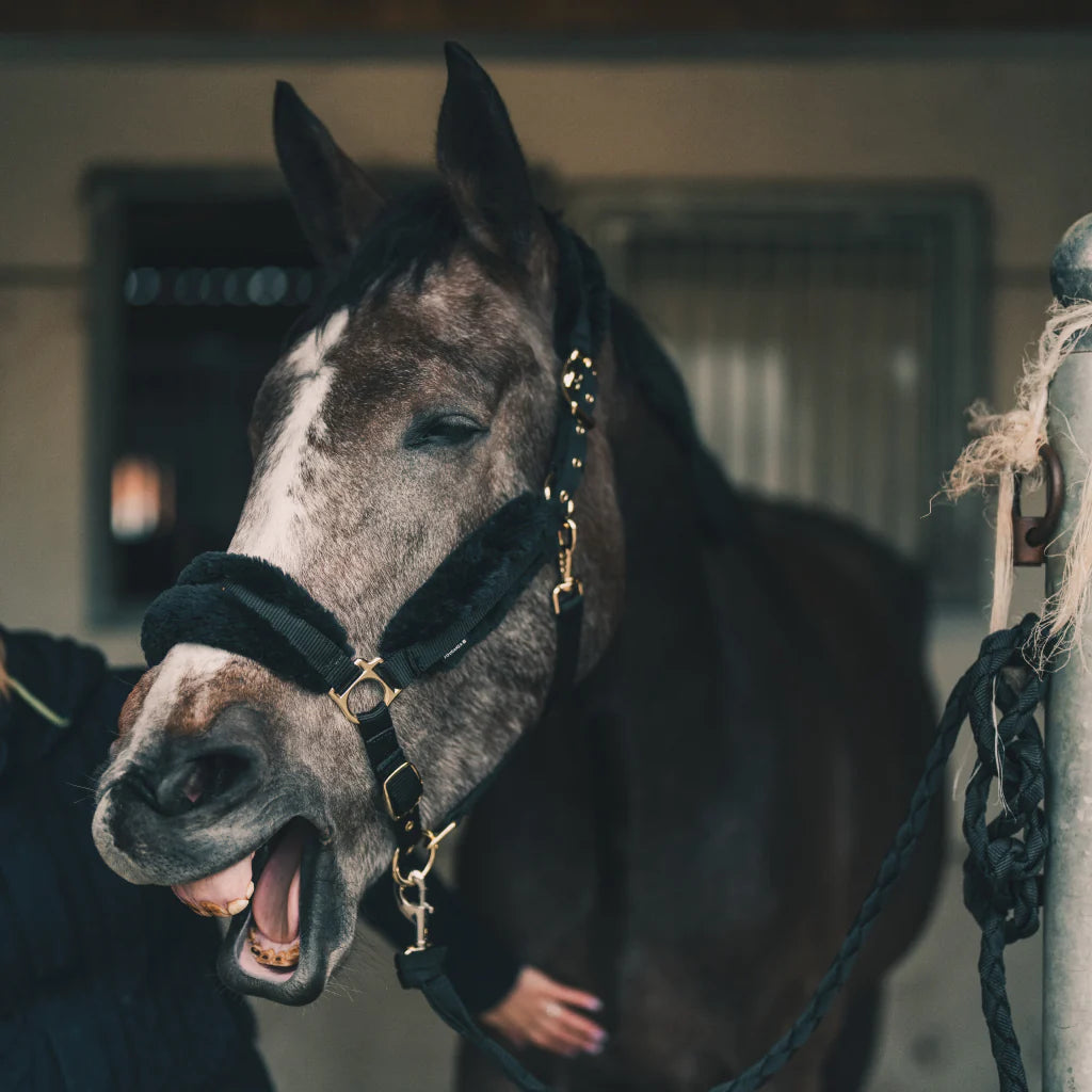 Huile confort musculaire