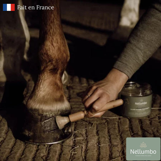 Utilisation du pinceau pour appliquer un soin sur les sabots du cheval