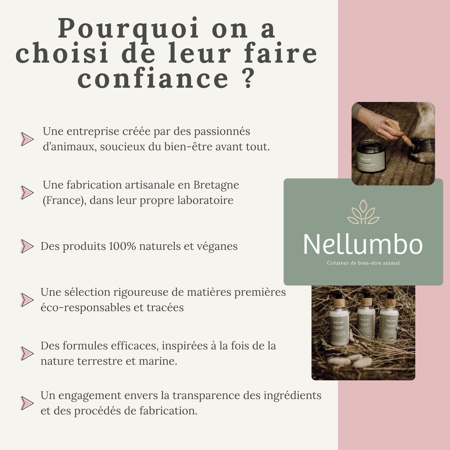 Pourquoi faire confiance à la marque Nellumbo