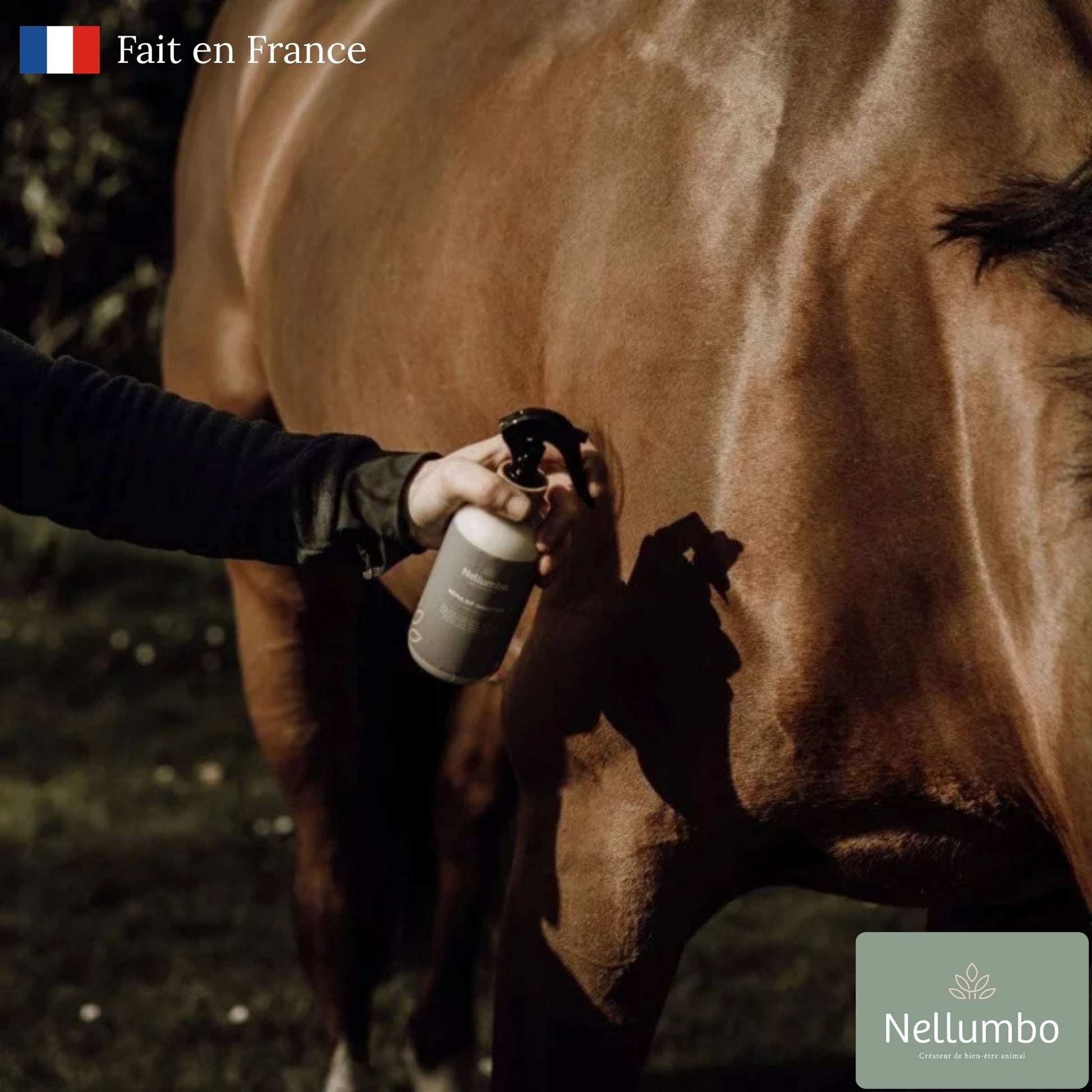 Spray répulsif naturel contre les insectes pour chevaux – Protect’Insectes