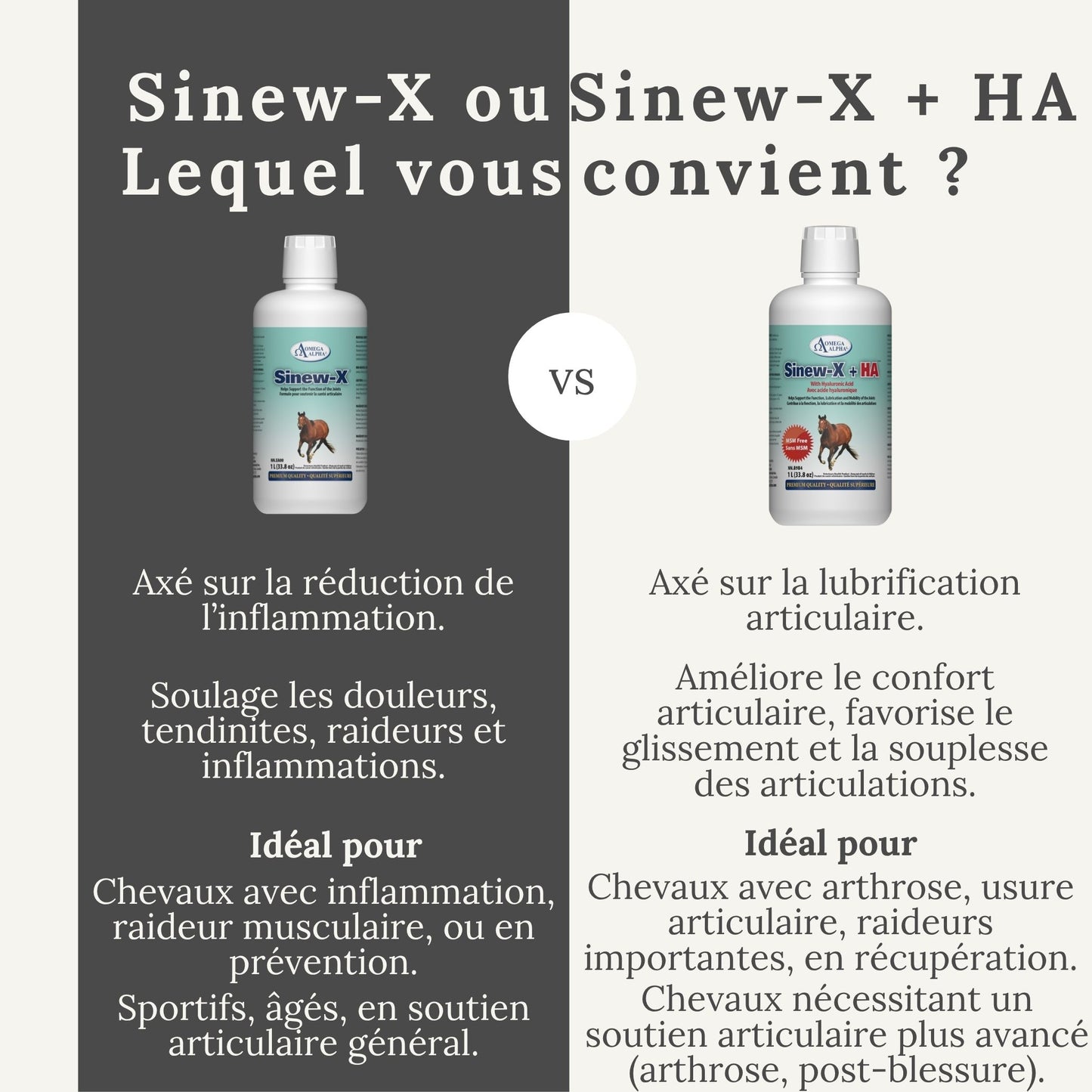 Comparatif entre Sinew-X et Sinew-X + HA pour le soutien articulaire du cheval – différences entre les deux formules.
