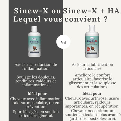 Comparatif entre Sinew-X et Sinew-X + HA pour le soutien articulaire du cheval – différences entre les deux formules.