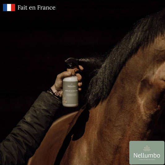 Soin démêlant naturel pour crin de cheval