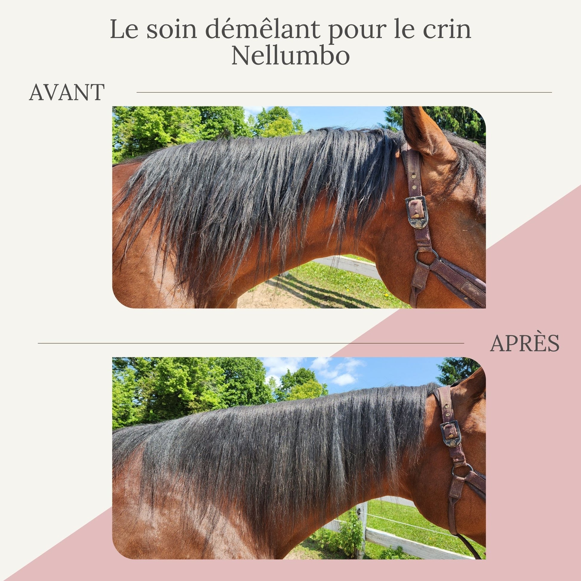 Le soin démêlant Nellumbo amène une brillance, aide à démêler et hydrate le crin