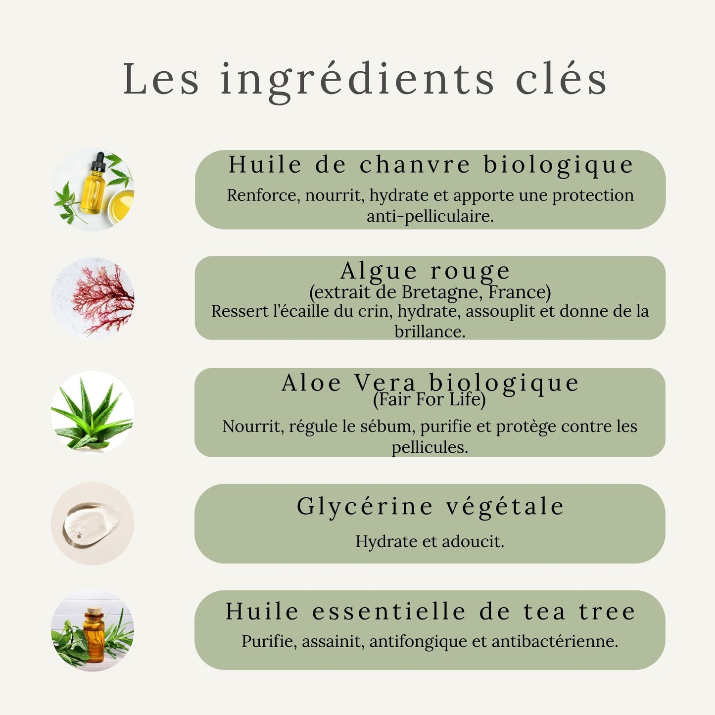 Ingrédients naturels du soin démêlant pour le crin – aloe vera, huile de chanvre, algue rouge, glycérine végétale et tea tree