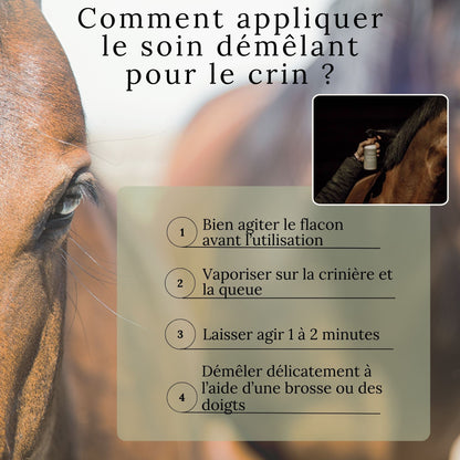 Comment appliquer le soin démêlant pour le crin
