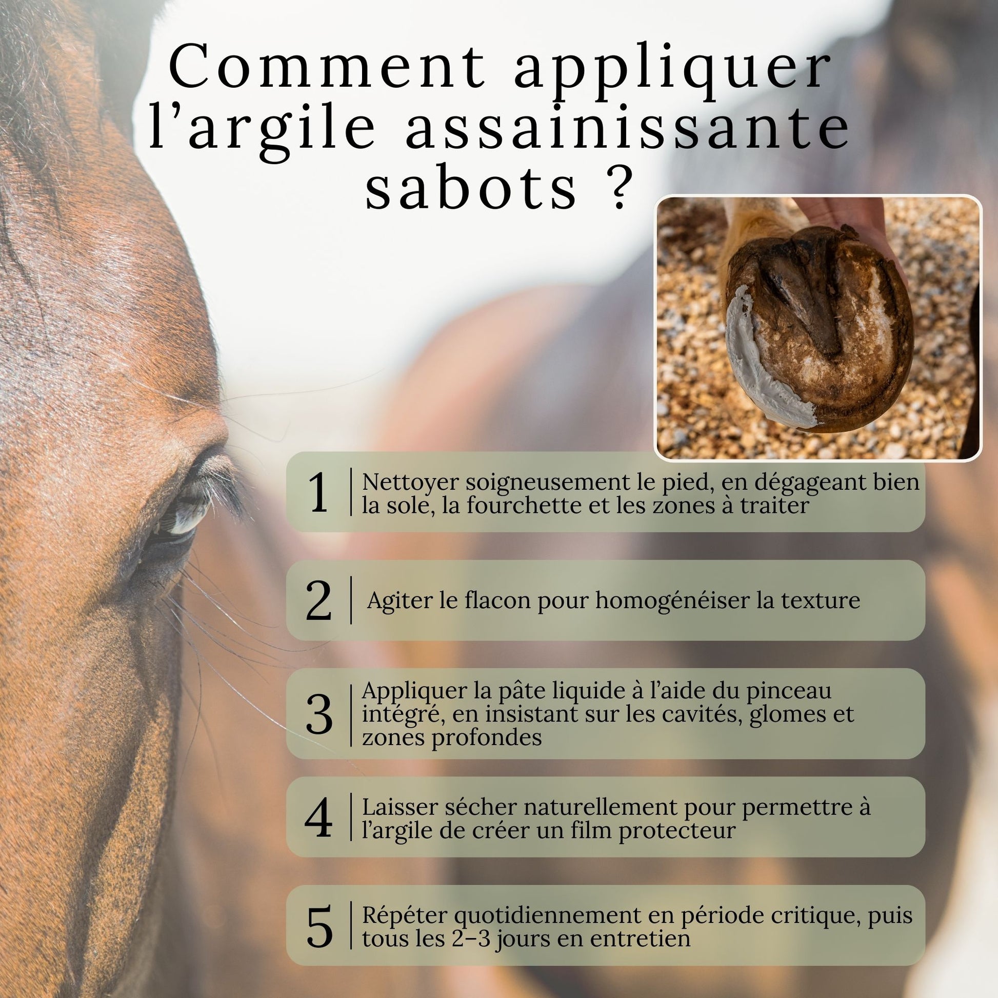 Guide visuel expliquant comment appliquer l’argile assainissante sabots sur le sabot du cheval