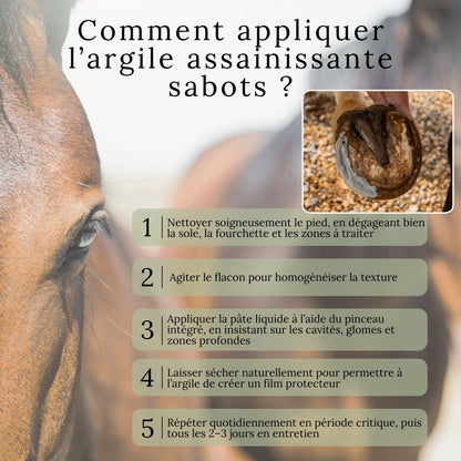 Guide visuel expliquant comment appliquer l’argile assainissante sabots sur le sabot du cheval