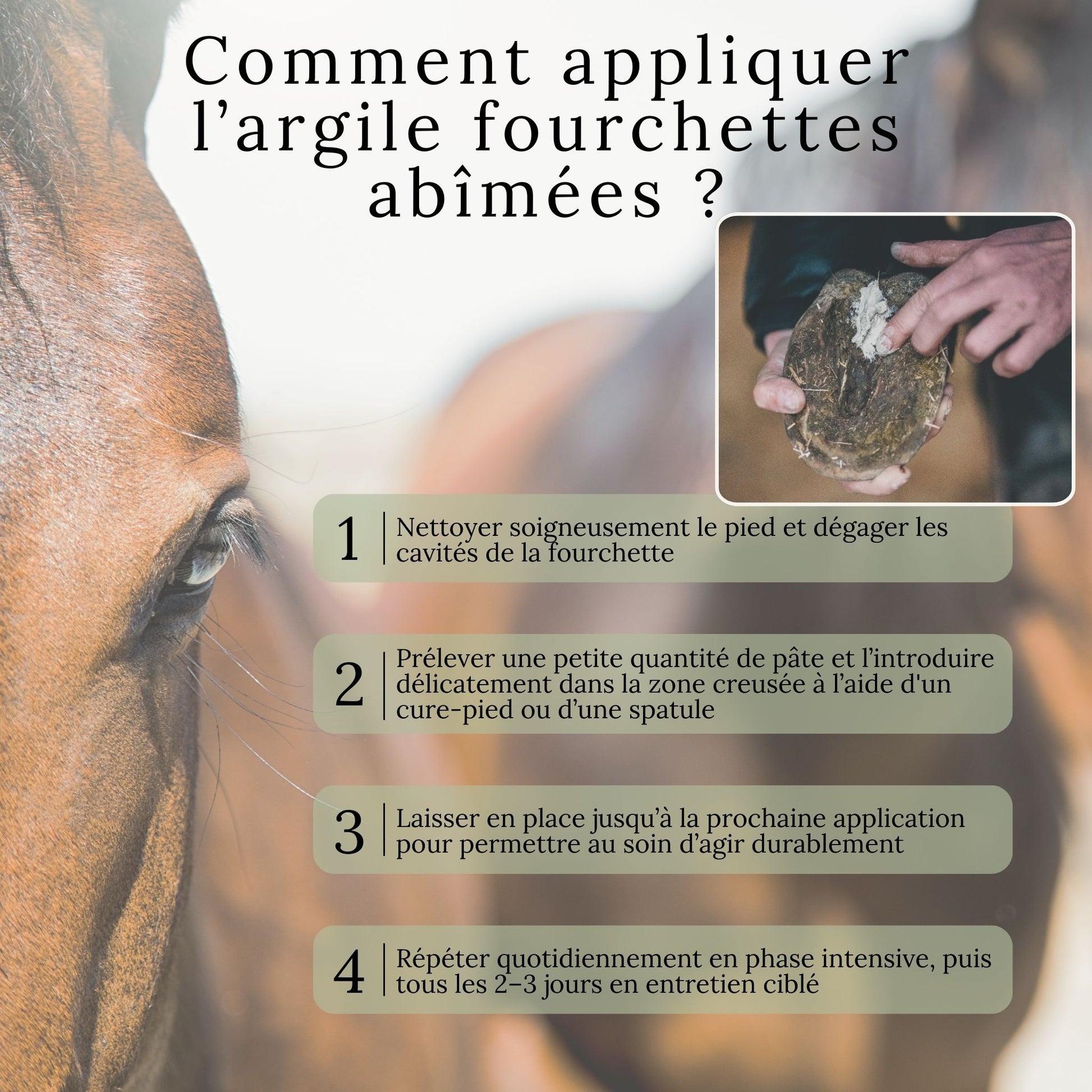 Guide visuel expliquant comment appliquer l’argile fourchettes abîmées sur le sabot du cheval