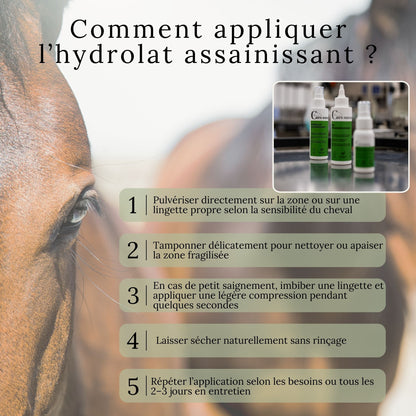 Guide visuel expliquant comment appliquer l’hydrolat assainissant sur le cheval