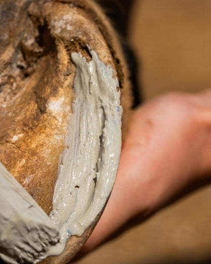 Argile assainissante sabots appliquée sur la sole du cheval, gros plan