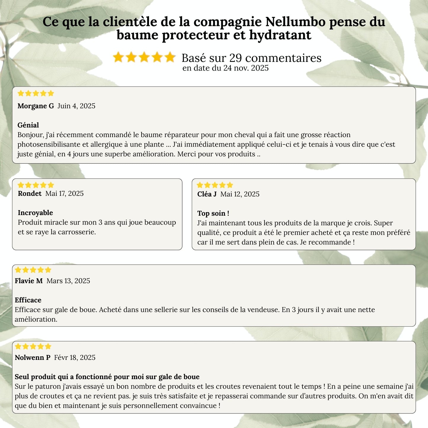 Baume protecteur et hydratant naturel pour chevaux - Protection UV et soin de la peau sensible du cheval