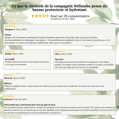 Baume protecteur et hydratant naturel pour chevaux - Protection UV et soin de la peau sensible du cheval