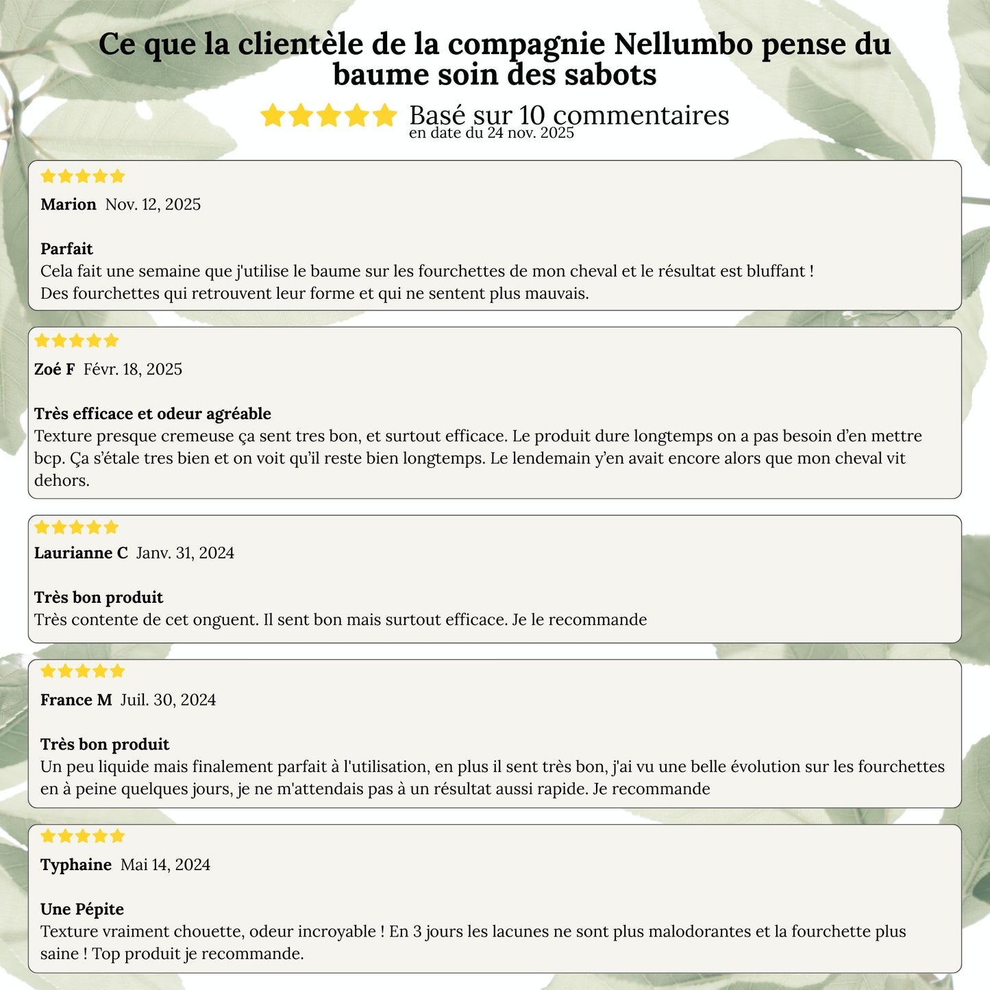 Baume naturel pour sabots du cheval – hydratant & antifongique