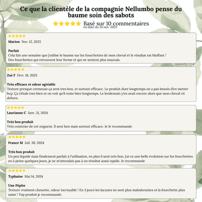 Baume naturel pour sabots du cheval – hydratant & antifongique