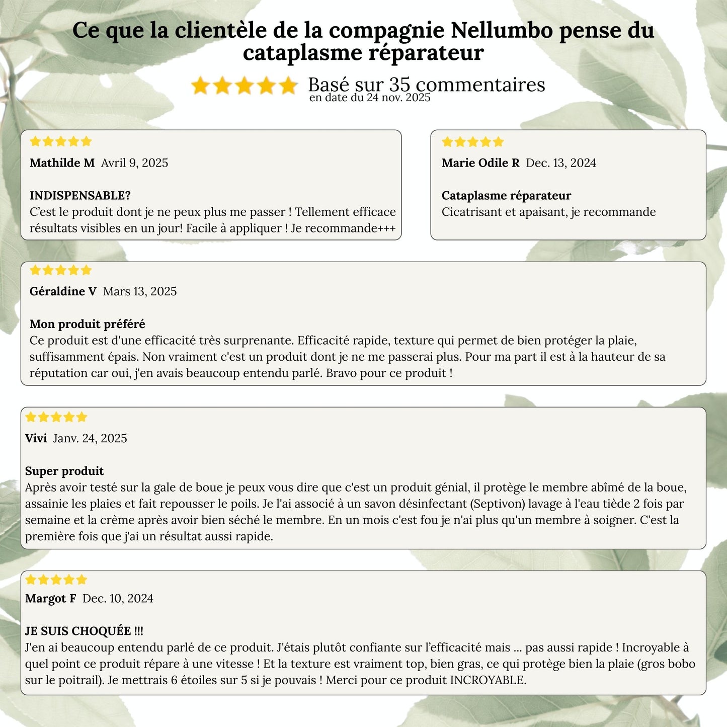 Cataplasme réparateur naturel - Soin de la peau du cheval