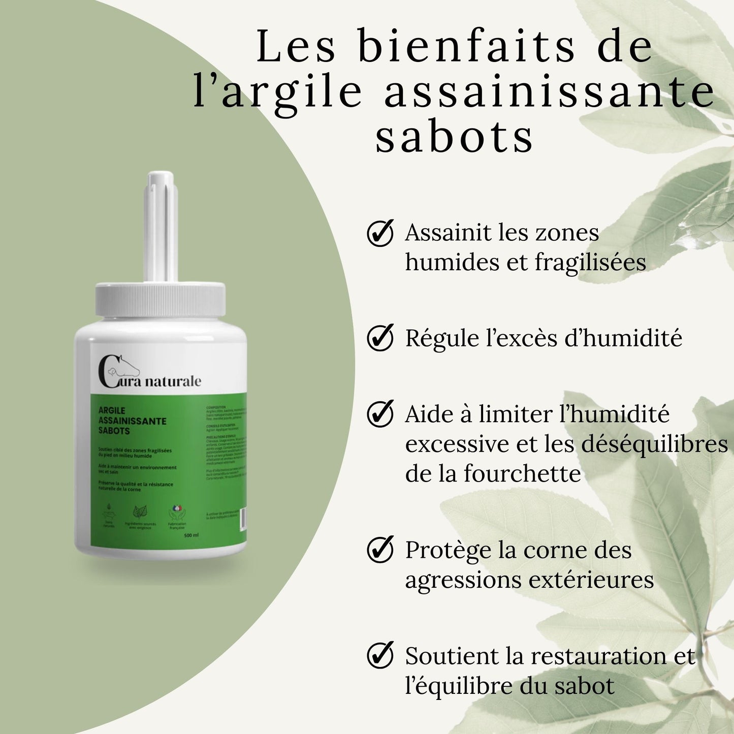 Infographie des bienfaits de l’argile assainissante sabots Cura Naturale