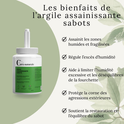 Infographie des bienfaits de l’argile assainissante sabots Cura Naturale