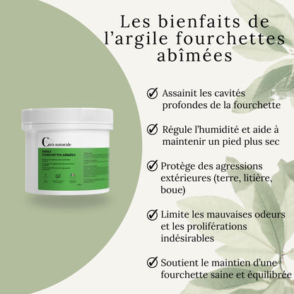 Infographie des bienfaits de l’argile fourchettes abîmées pour accompagner l’hygiène du sabot