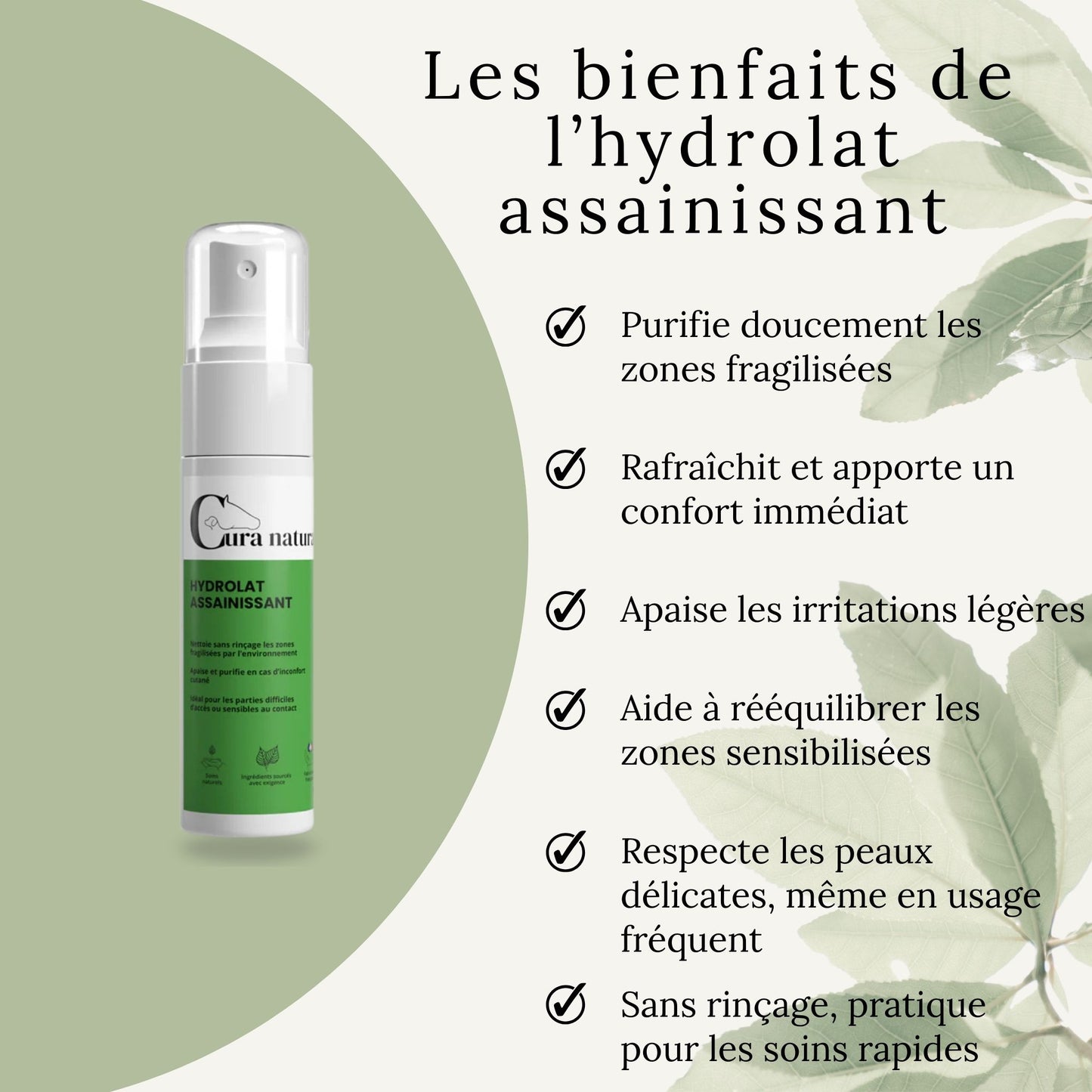 Infographie illustrant les bienfaits de l’hydrolat assainissant pour l’hygiène de la peau du cheval