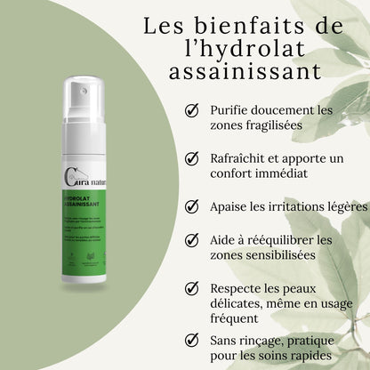 Infographie illustrant les bienfaits de l’hydrolat assainissant pour l’hygiène de la peau du cheval