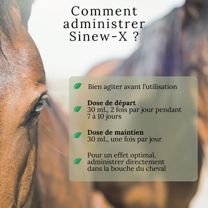 Instructions d’utilisation du SINEW-X Omega Alpha – dosage recommandé pour chevaux en soutien articulaire