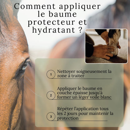 Comment appliquer le baume naturel hydratant sur le cheval