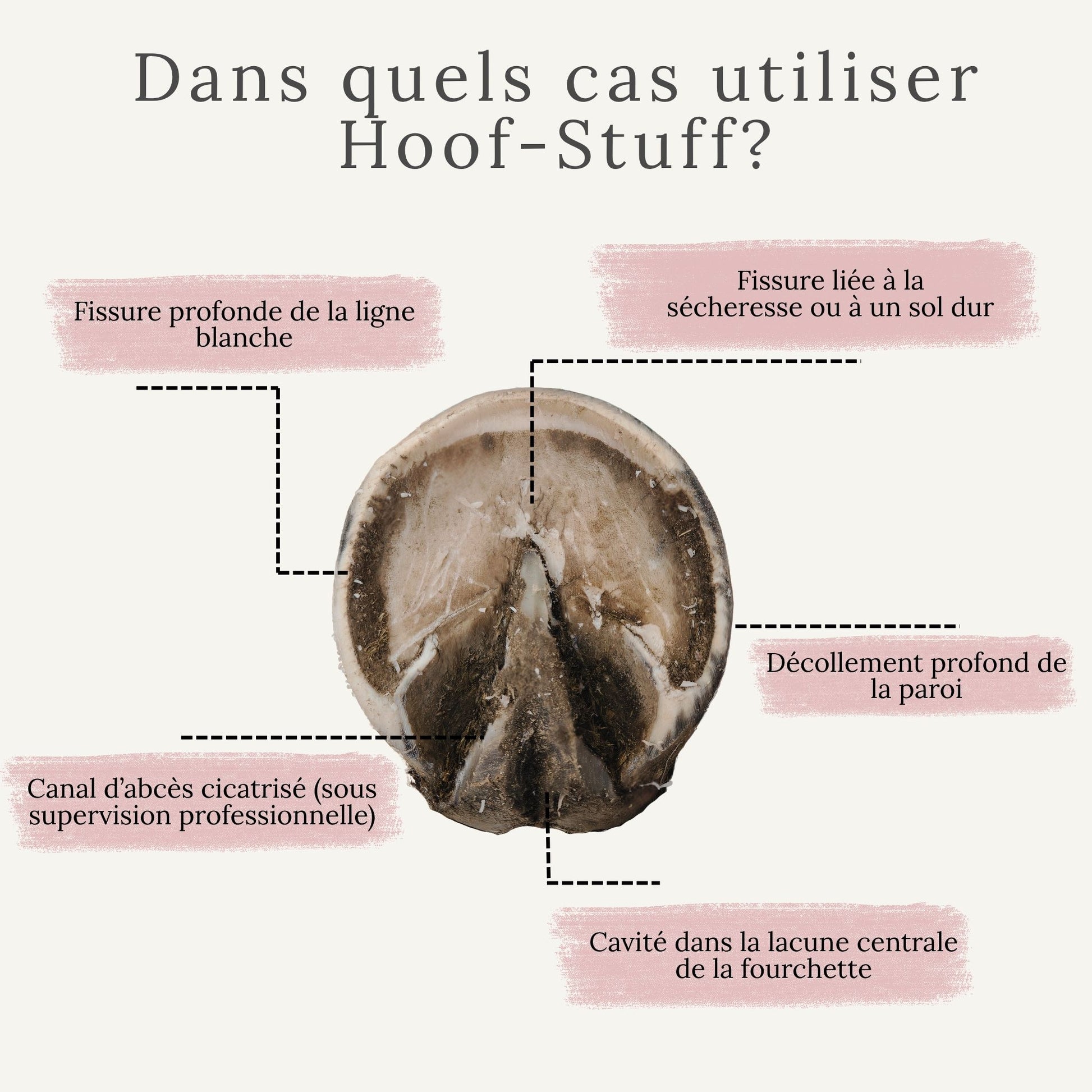 Hoof-Stuff pour protéger les sabots avec fissures profondes et décollement de la paroi