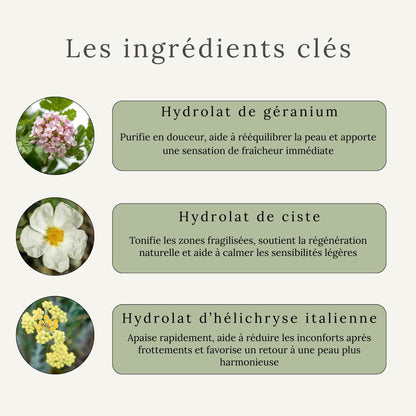 Infographie présentant les ingrédients clés de l’hydrolat assainissant Cura Naturale