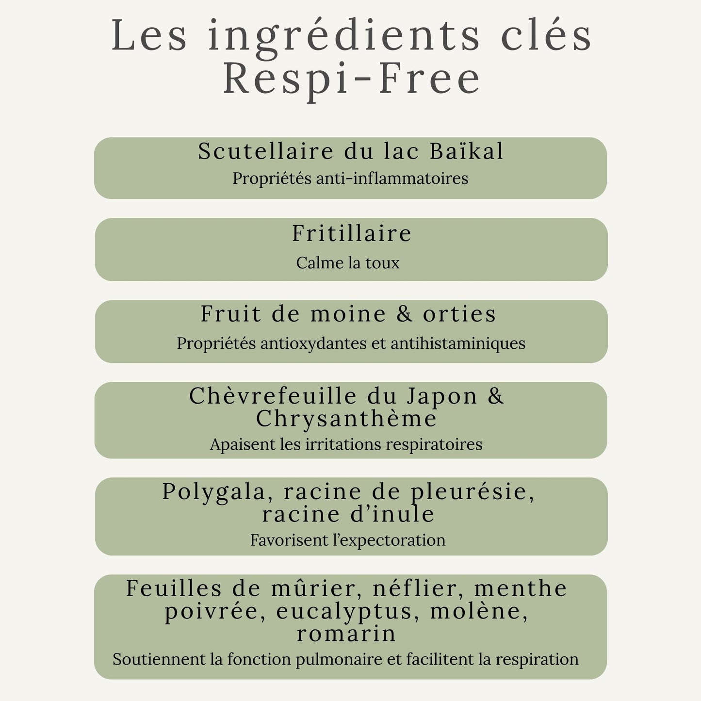 Plantes utilisées dans Respi-Free – soutien pulmonaire naturel pour chevaux