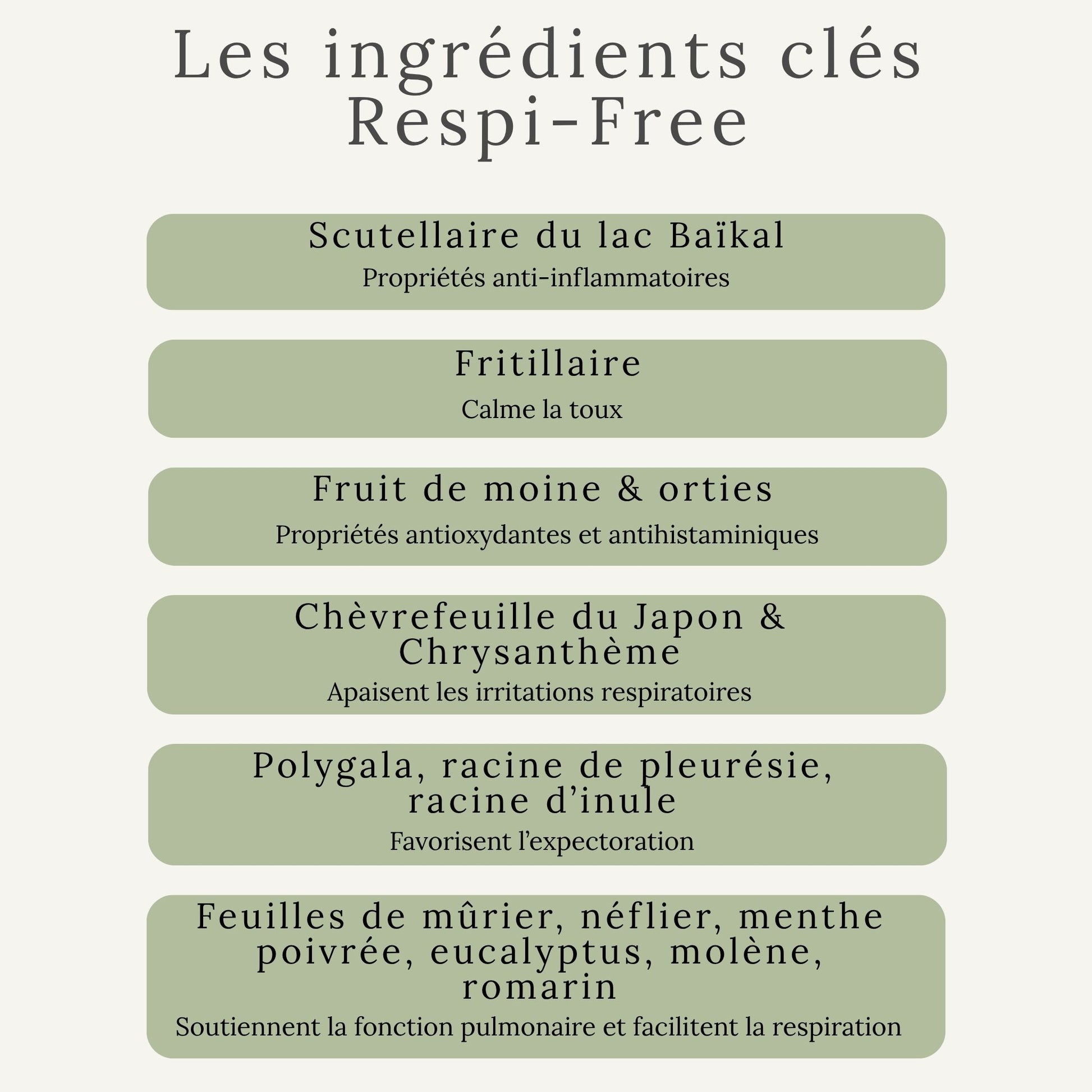 Plantes utilisées dans Respi-Free – soutien pulmonaire naturel pour chevaux