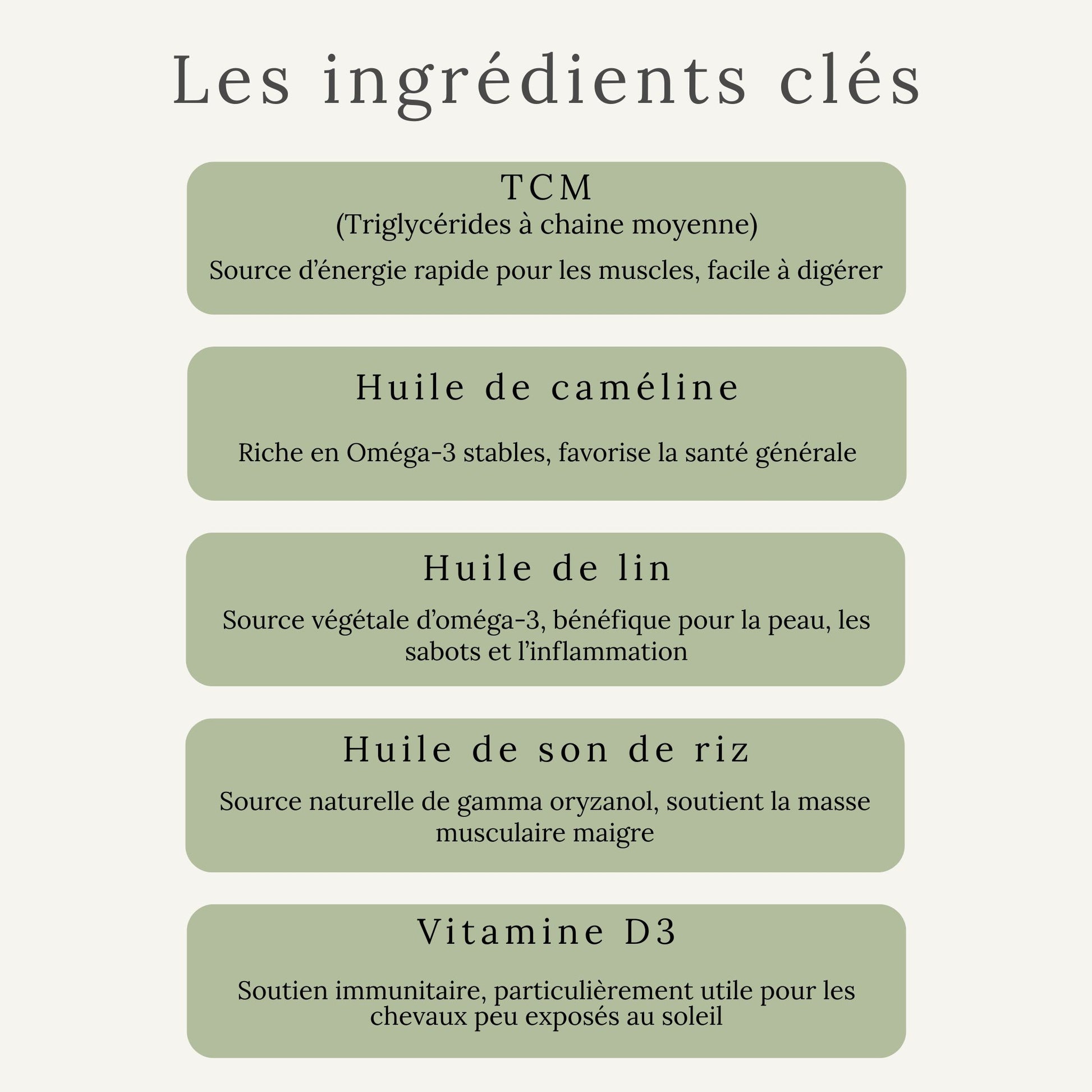 Ingrédients d’EquiBody Glo : huiles naturelles riches en oméga-3, oméga-6 et vitamine E