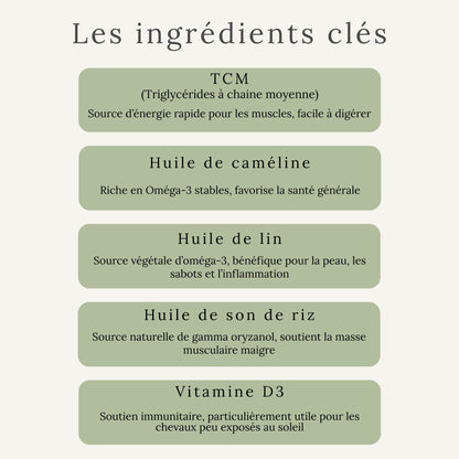 Ingrédients d’EquiBody Glo : huiles naturelles riches en oméga-3, oméga-6 et vitamine E