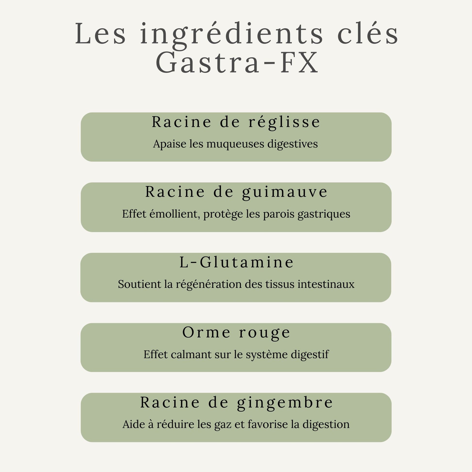 Ingrédients actifs du Gastra-FX : racine de reglisse, racine de guimauve et autres plantes 