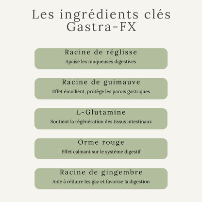 Ingrédients actifs du Gastra-FX : racine de reglisse, racine de guimauve et autres plantes 